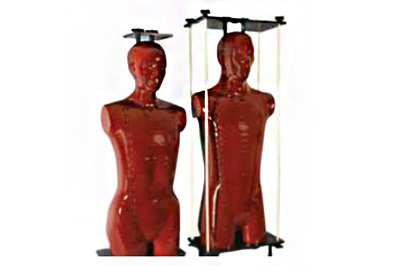 Alderson Radiation Therapy (ART) Phantom 美国RSD Alderson 放射治疗 (ART) 模体（配件）